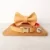 Orange Collar Bow-EIV5