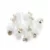 White beads-ICPV