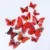 red butterfly-47KQ