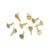 Pins-Gold Color-4O6D