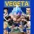 Vegeta blue-NJWE