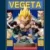 Vegeta yellow-NJWE